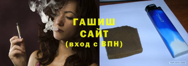 гашик Алексин