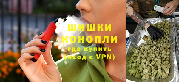 гашик Алексин