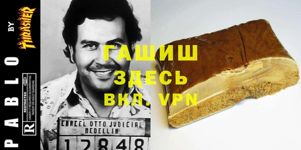 гашик Алексин