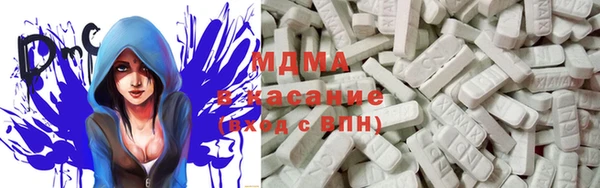 гашик Алексин