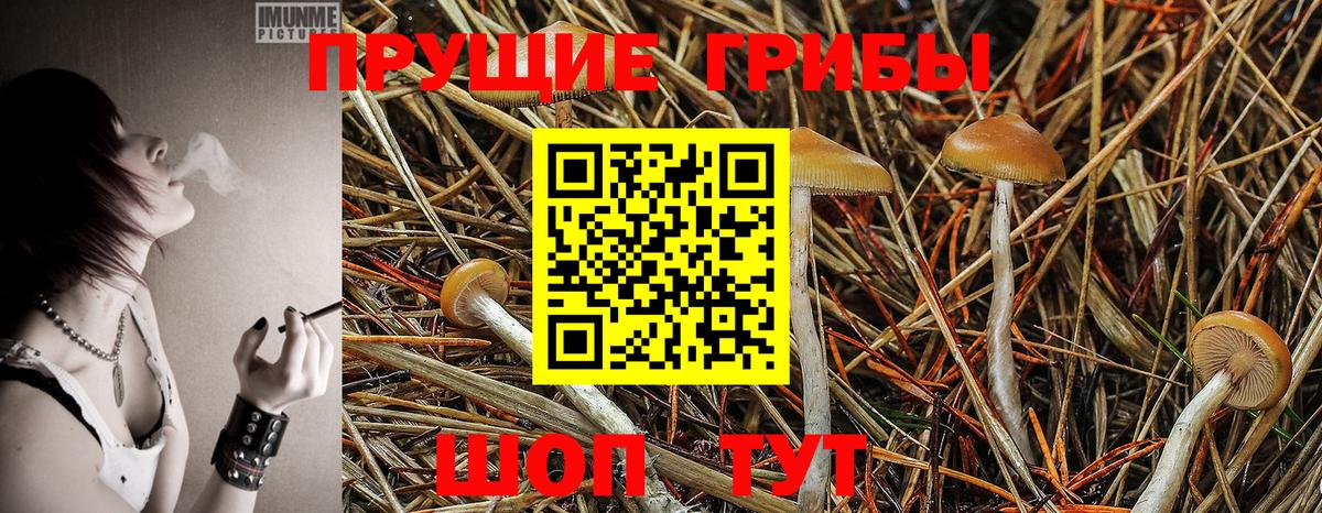 Галлюциногенные грибы GOLDEN TEACHER  Вход с VPN  Ирбит  Псилоцибиновые грибы Psilocybe 
